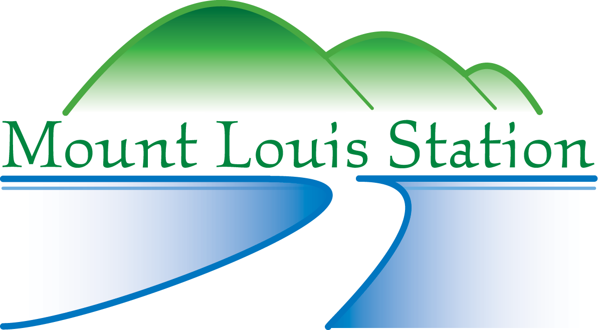 Mount Louis Cattle Station